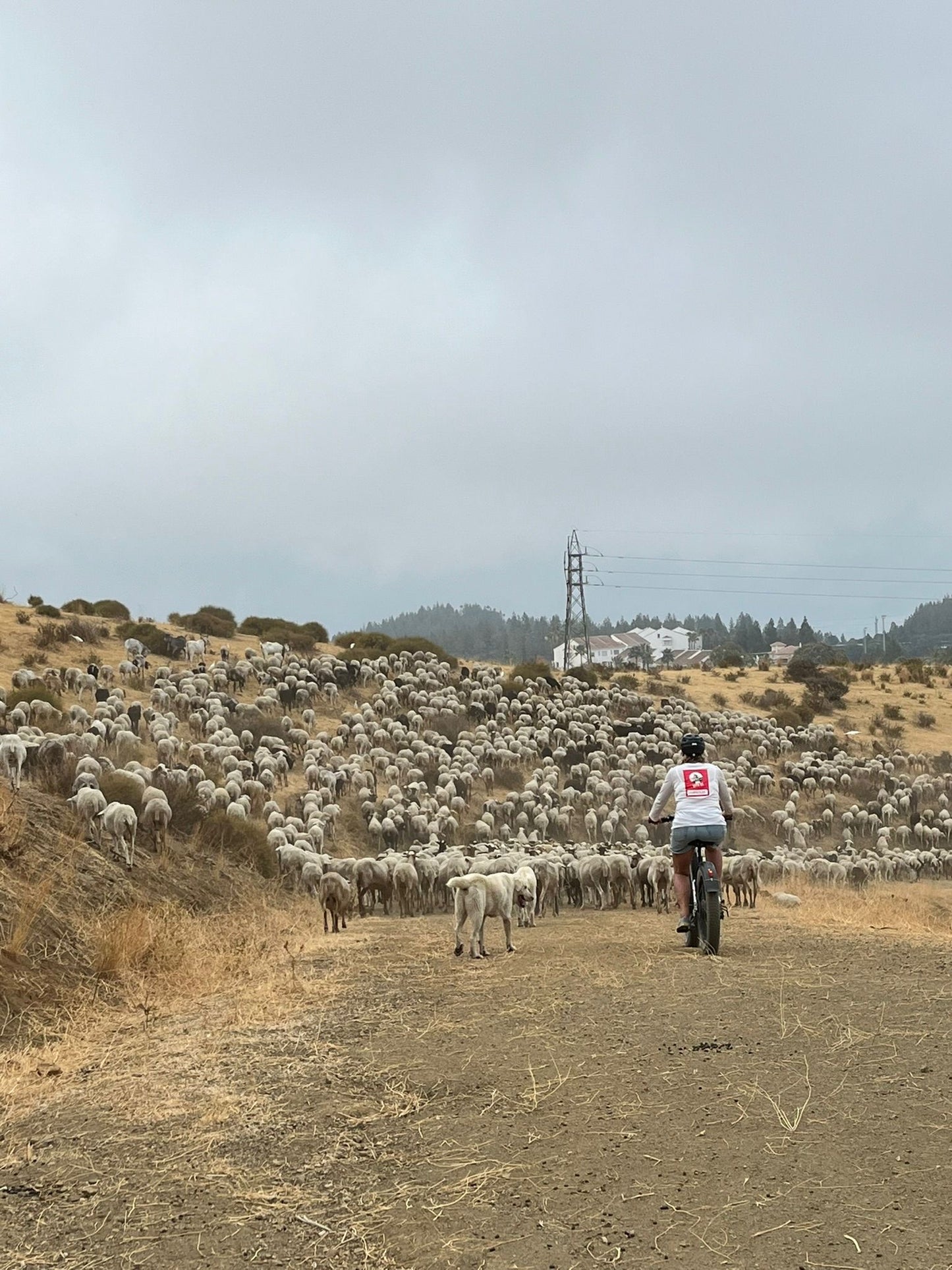 Fietstour El Campo La Cala de Mijas | Ontdek de Veelzijdige Natuur vlakbij de kust
