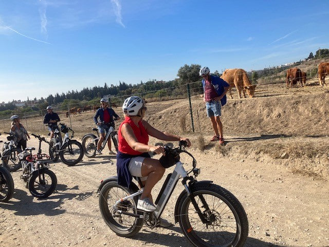 El Toro de Fuengirola fietstour