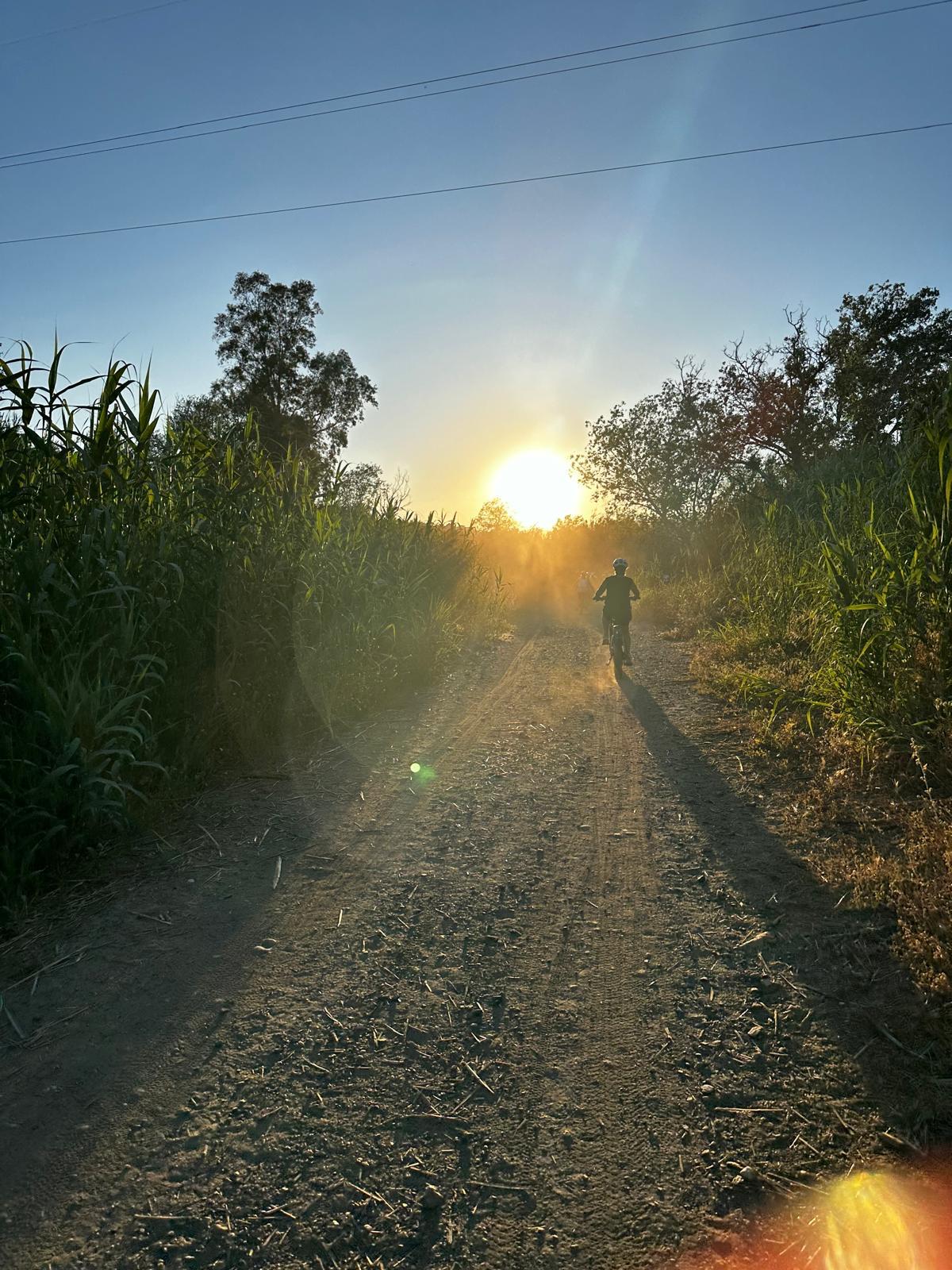 Sunset Fietstour | Beleef de Magie van de Zonsondergang