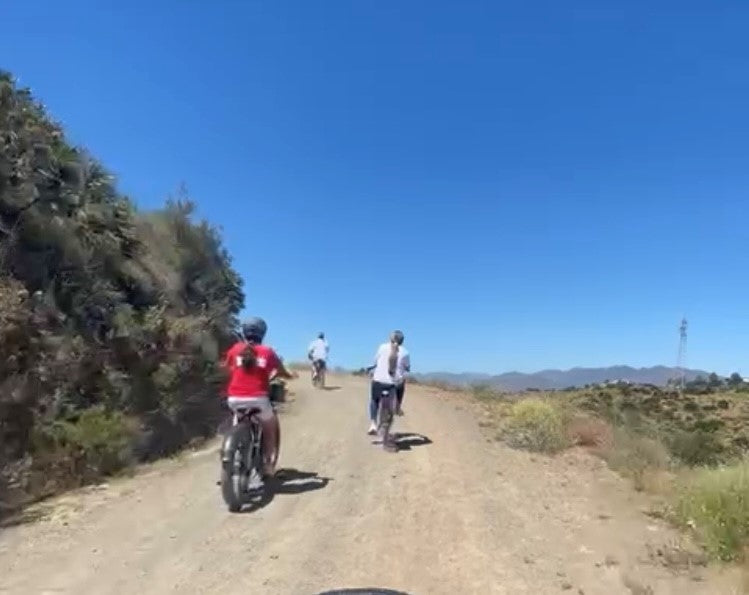 Fietstour met Flamencoshow | Natuur & Cultuur in Andalusië