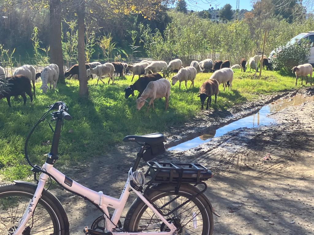 Fietstour El Campo La Cala de Mijas | Ontdek de Veelzijdige Natuur vlakbij de kust