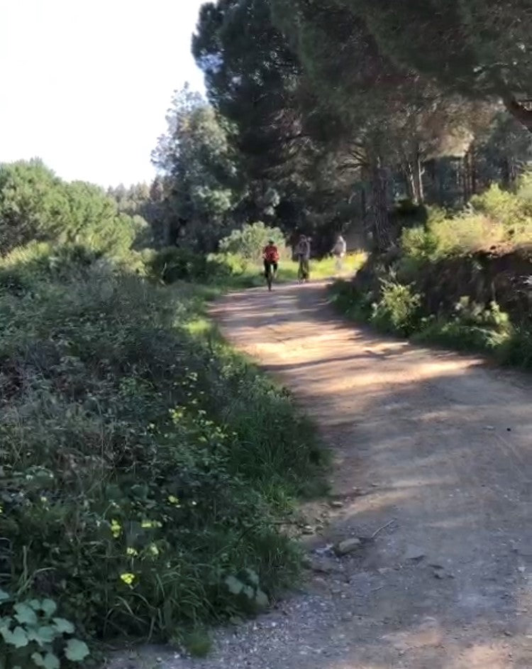 Fietstour met Flamencoshow | Natuur & Cultuur in Andalusië