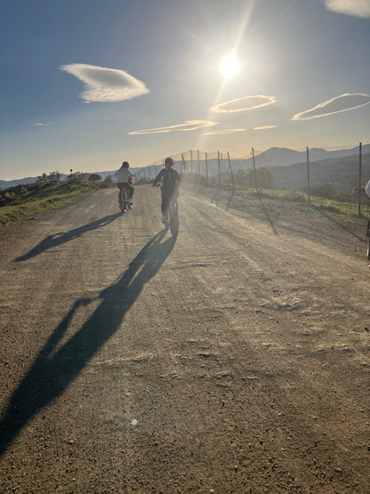 Bikation: fietsvakantie