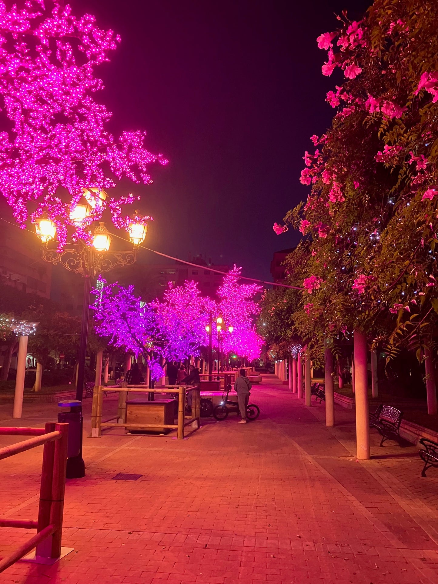 Kerstlichtjes Tapastour – Beleef de magie van winterse verlichting